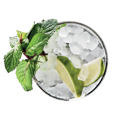 mojito-1