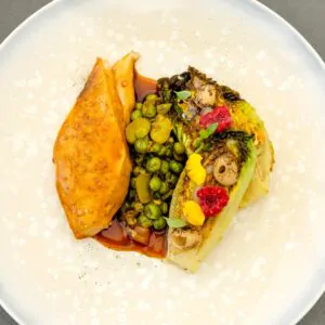 plat_ducasse plat_ducasse