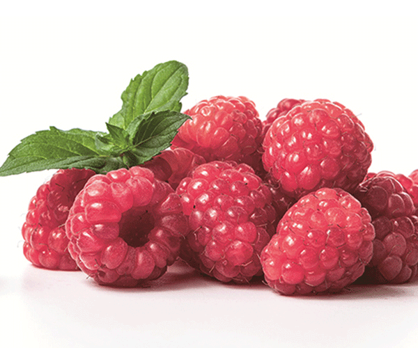 framboises fraîches